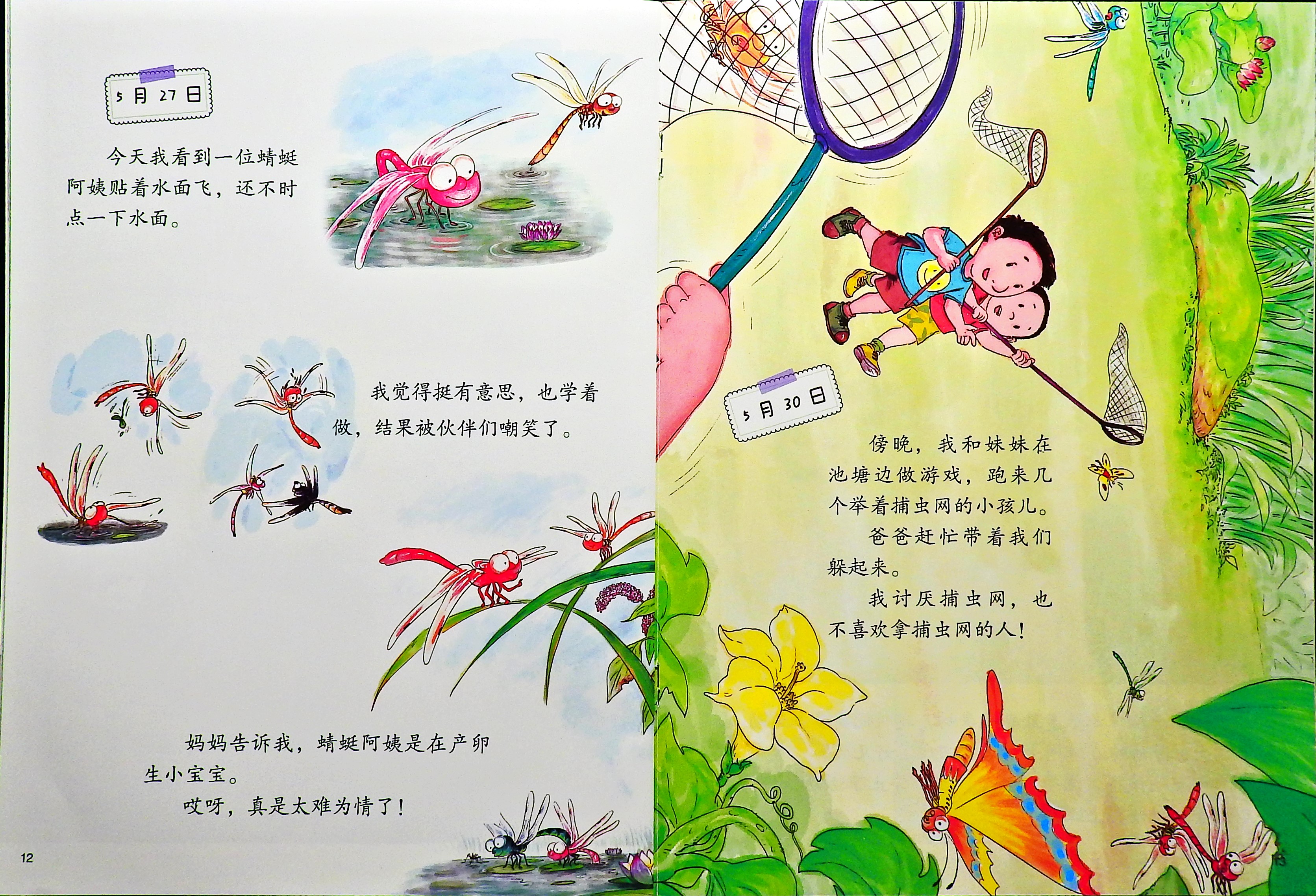 蜻蜓的日记 (08),绘本,绘本故事,绘本阅读,故事书,童书,图画书,课外阅读